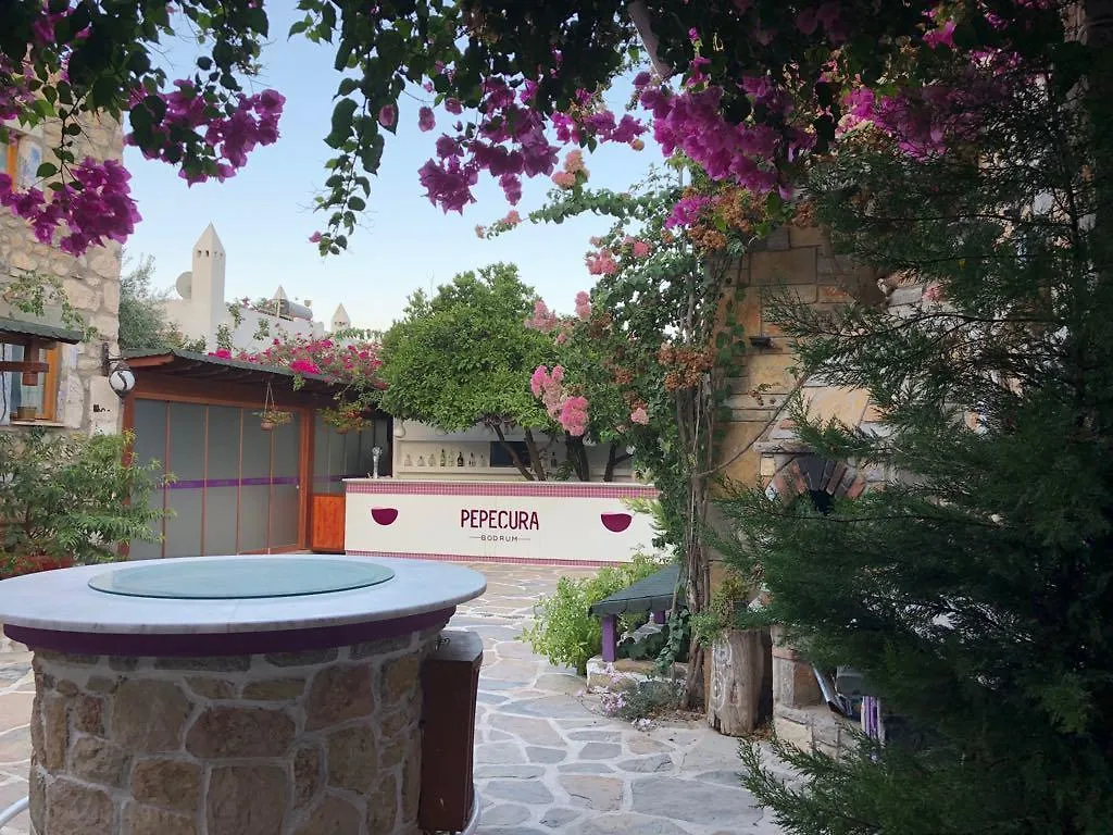 Pepecura Bodrum 0*,